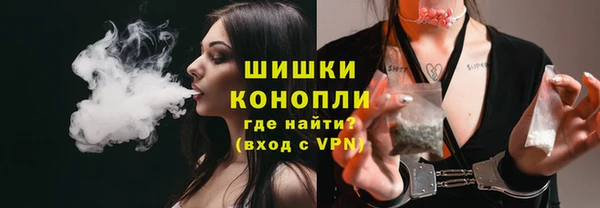 кокс Касимов