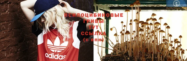 стаф Карталы
