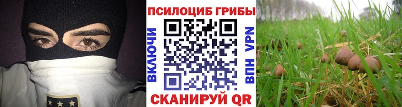 Псилоцибиновые грибы Magic Shrooms  Купить закладки  Горнозаводск 